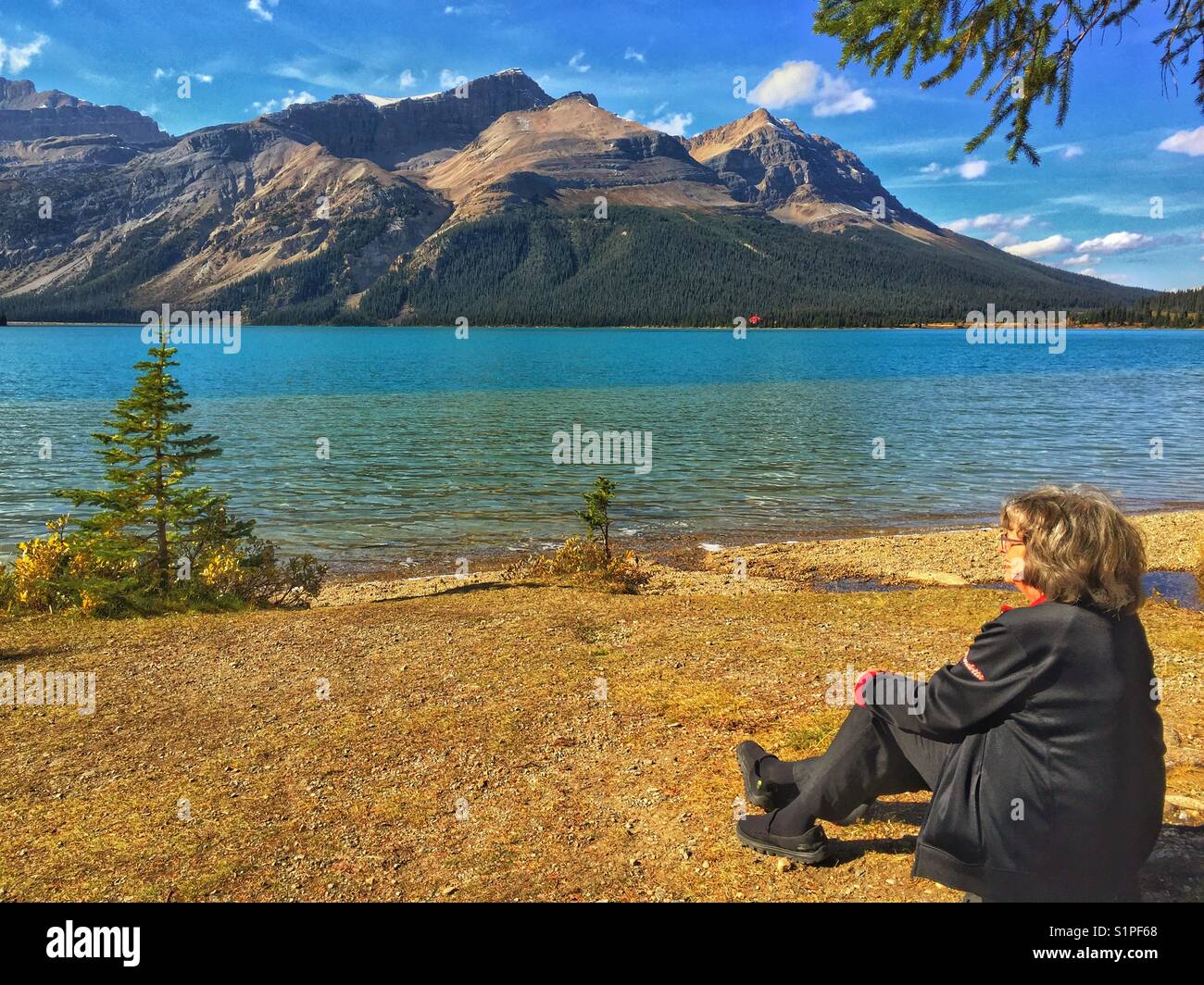 Woman tourist gazing at Bow Lake and the Rocky Mountains in Banff, Alberta, Canada - Smartphone Captured Stock Image