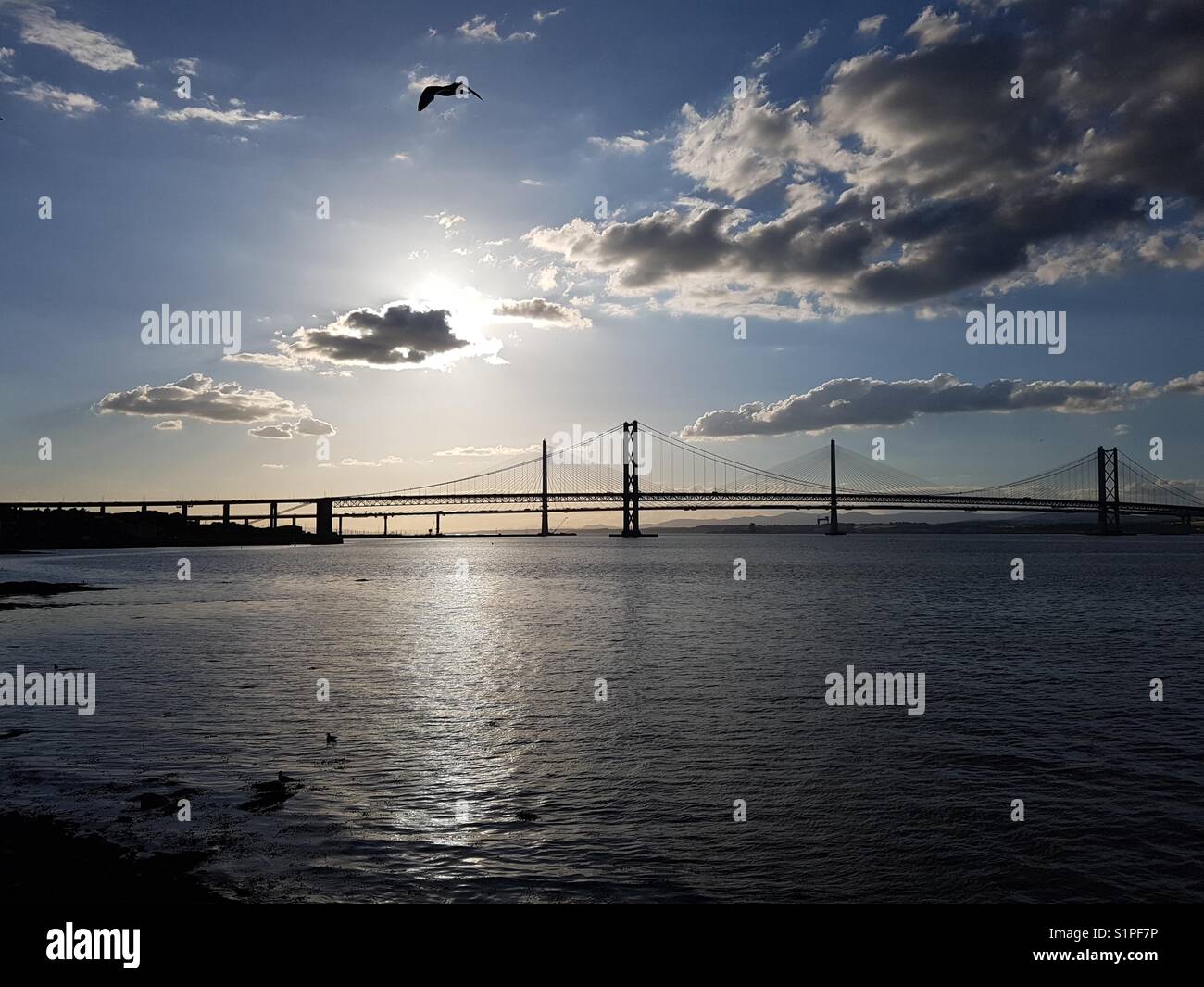 Forth road bridges as the sun starts to go down Stock Photo