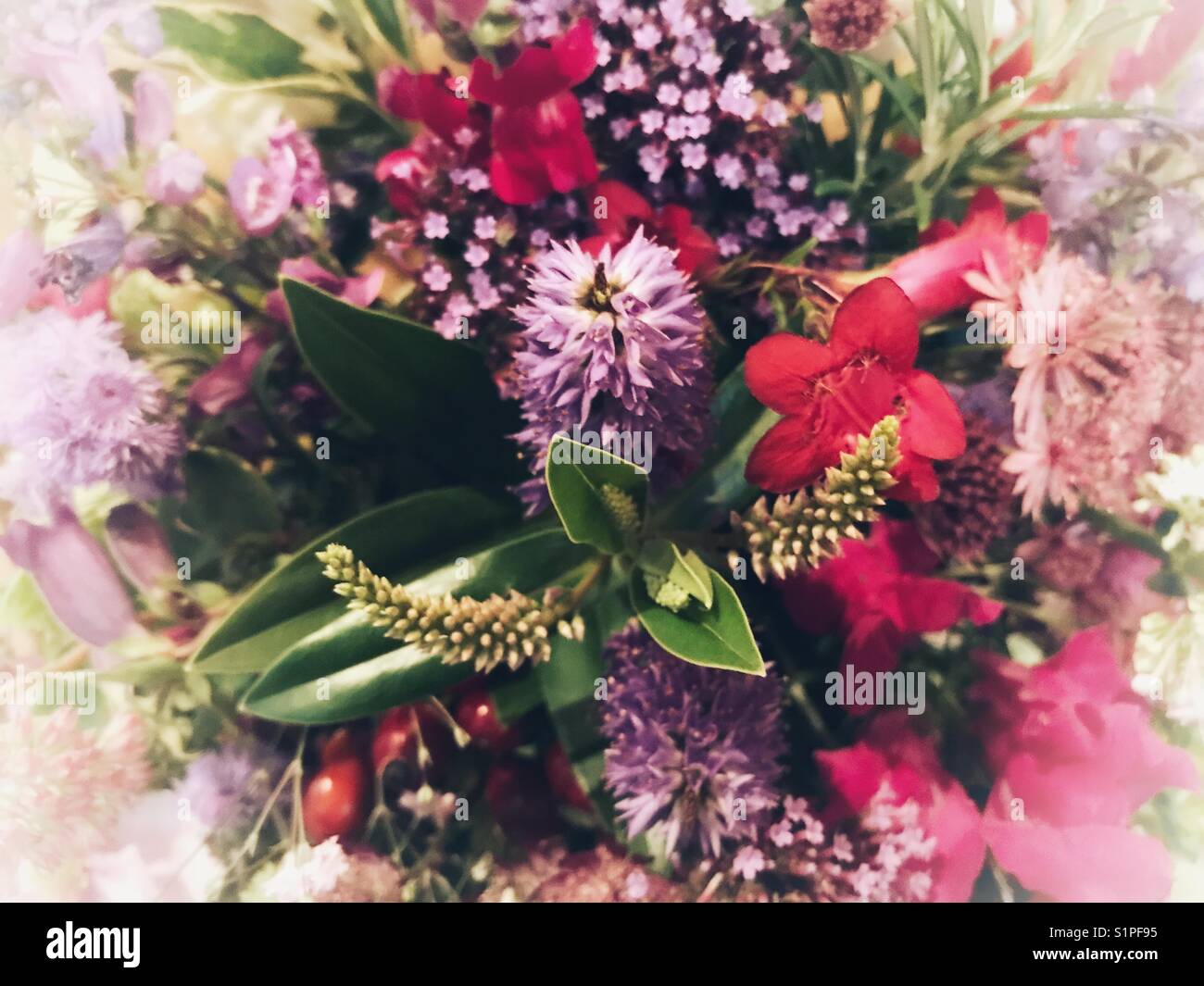 Flower arrangement in a church decorated for the Harvest Festival. - Smartphone Captured Stock Image
