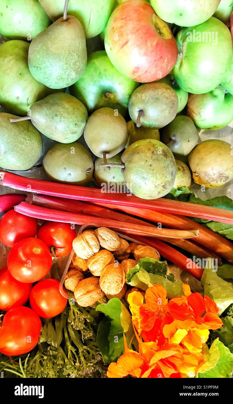 Fruit and vegetables, an arrangement in a church decorated for the Harvest Festival. - Smartphone Captured Stock Image