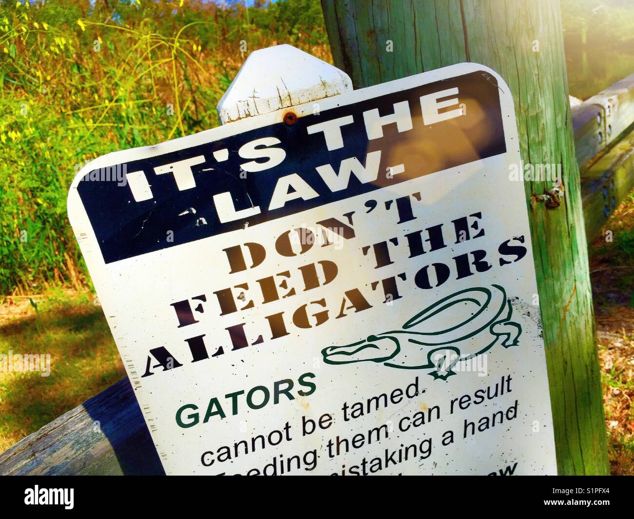 Posted warning sign do not feed the alligators, South Carolina, USA