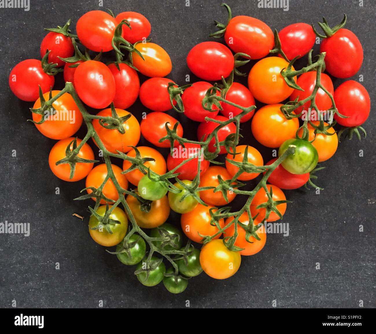 Tomato love - Smartphone Captured Stock Image