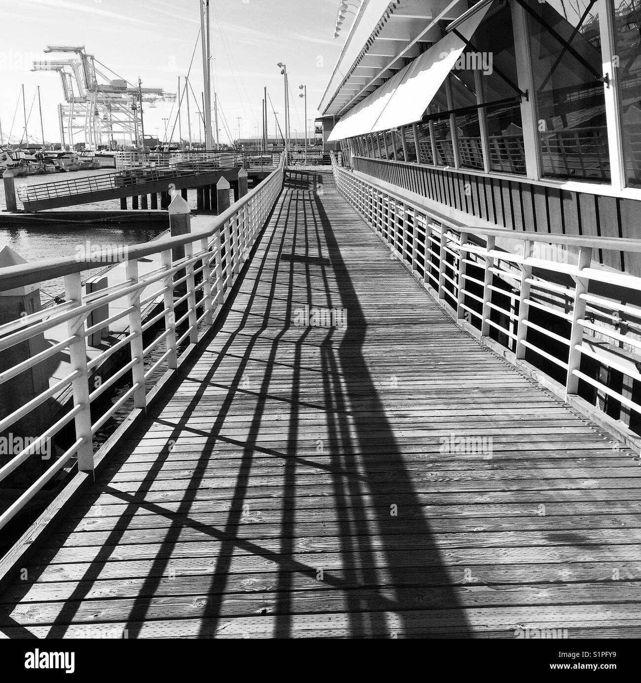 Jack London Square, Oakland, California - Smartphone Captured Stock Image