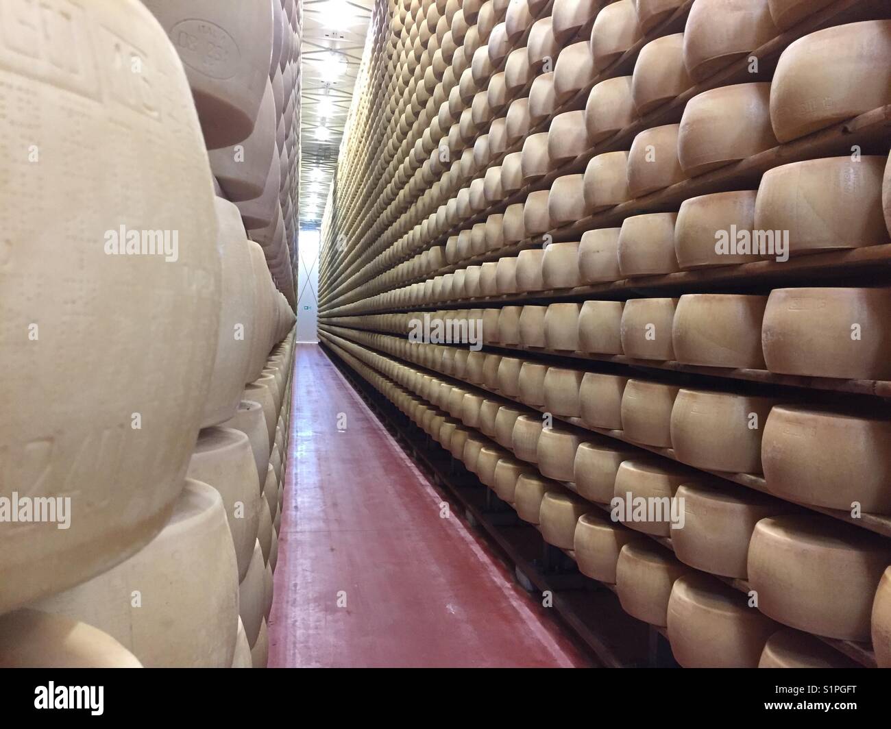 Parmesan cheese storage Stock Photo Alamy