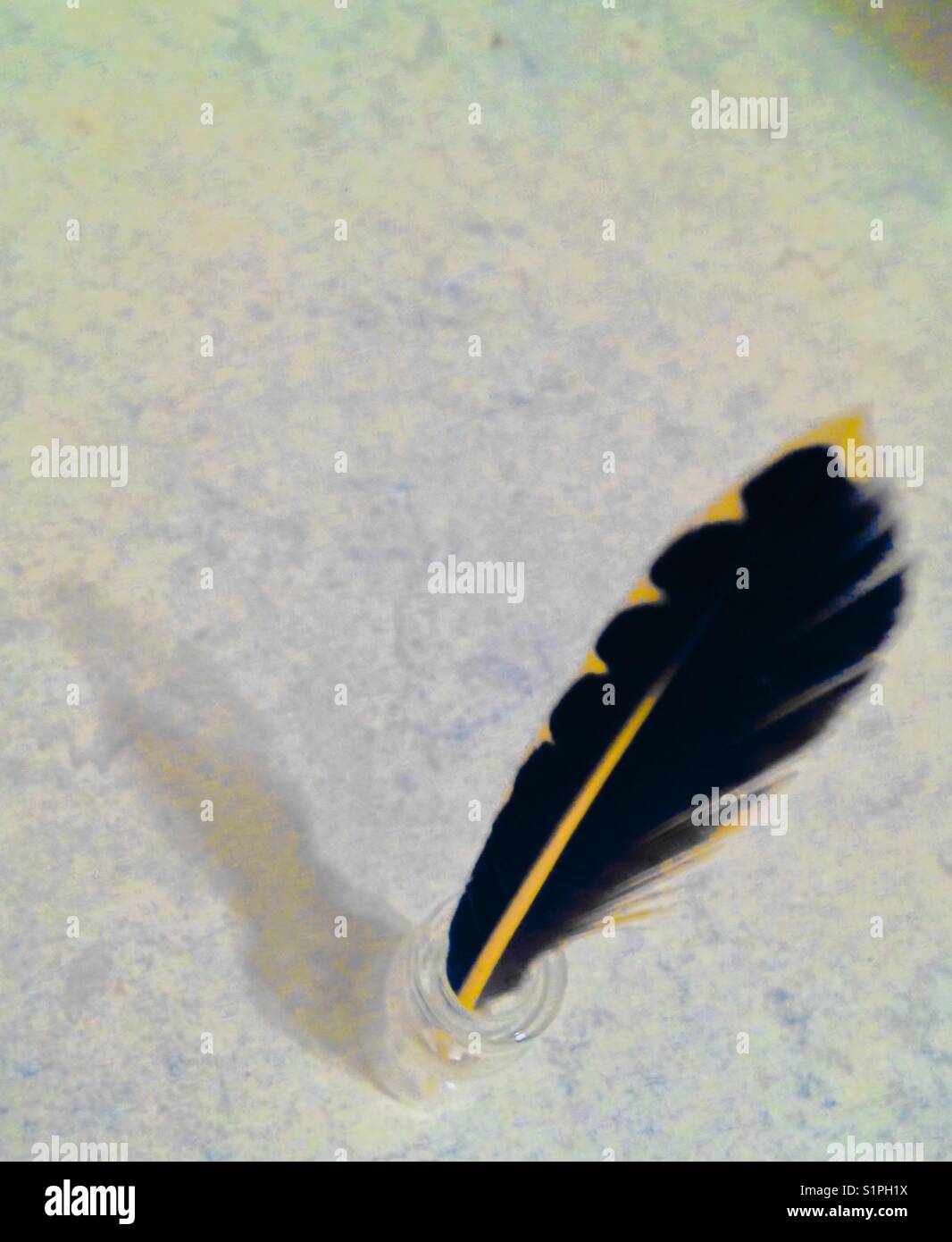 Feather I - Smartphone Captured Stock Image