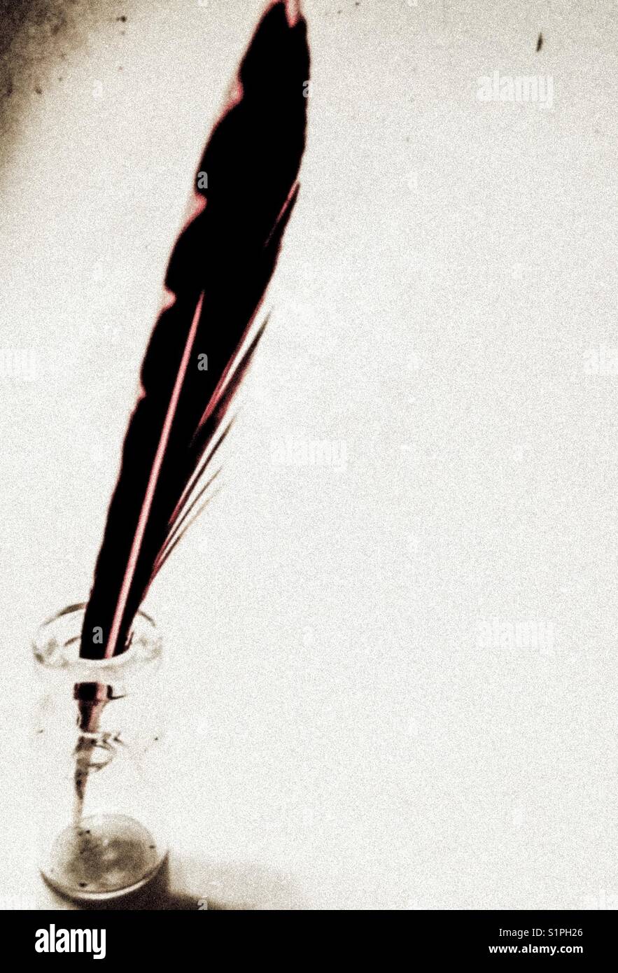 Feather V - Smartphone Captured Stock Image