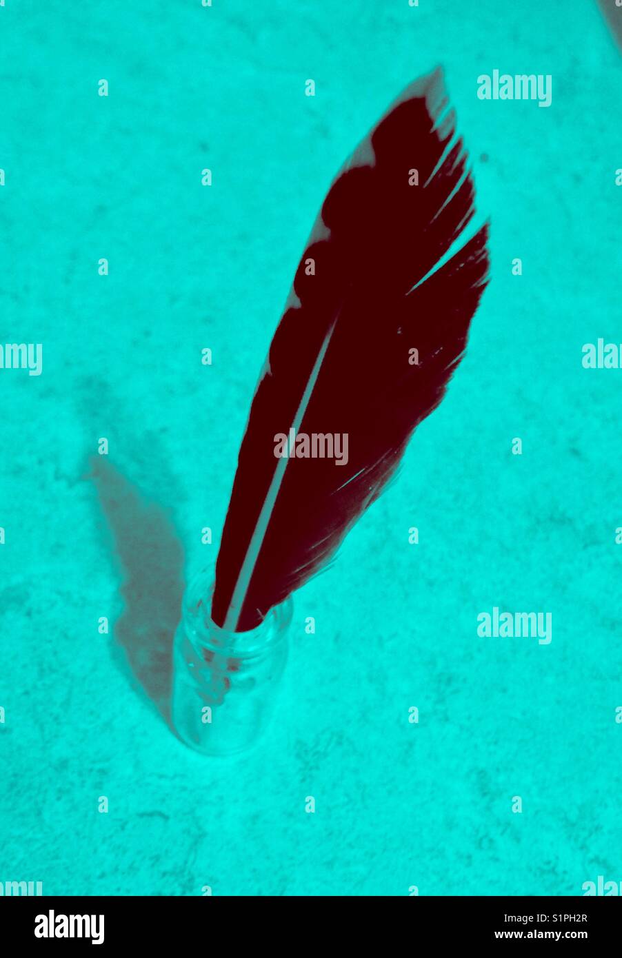 Feather XI - Smartphone Captured Stock Image