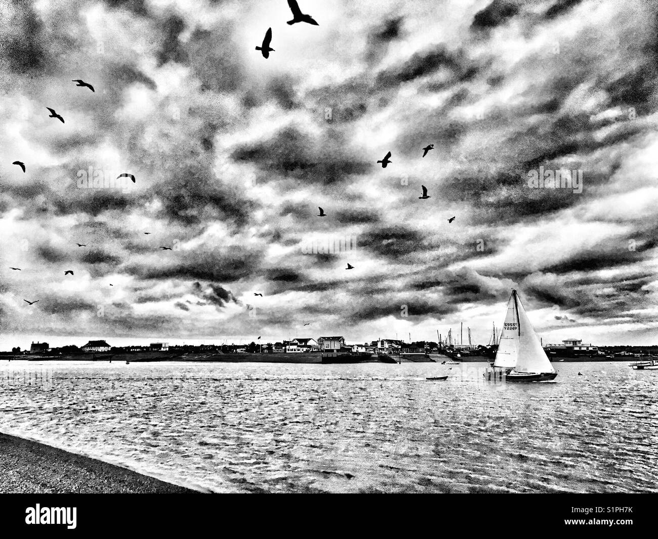 River Deben Bawdsey Ferry Suffolk England - Smartphone Captured Stock Image