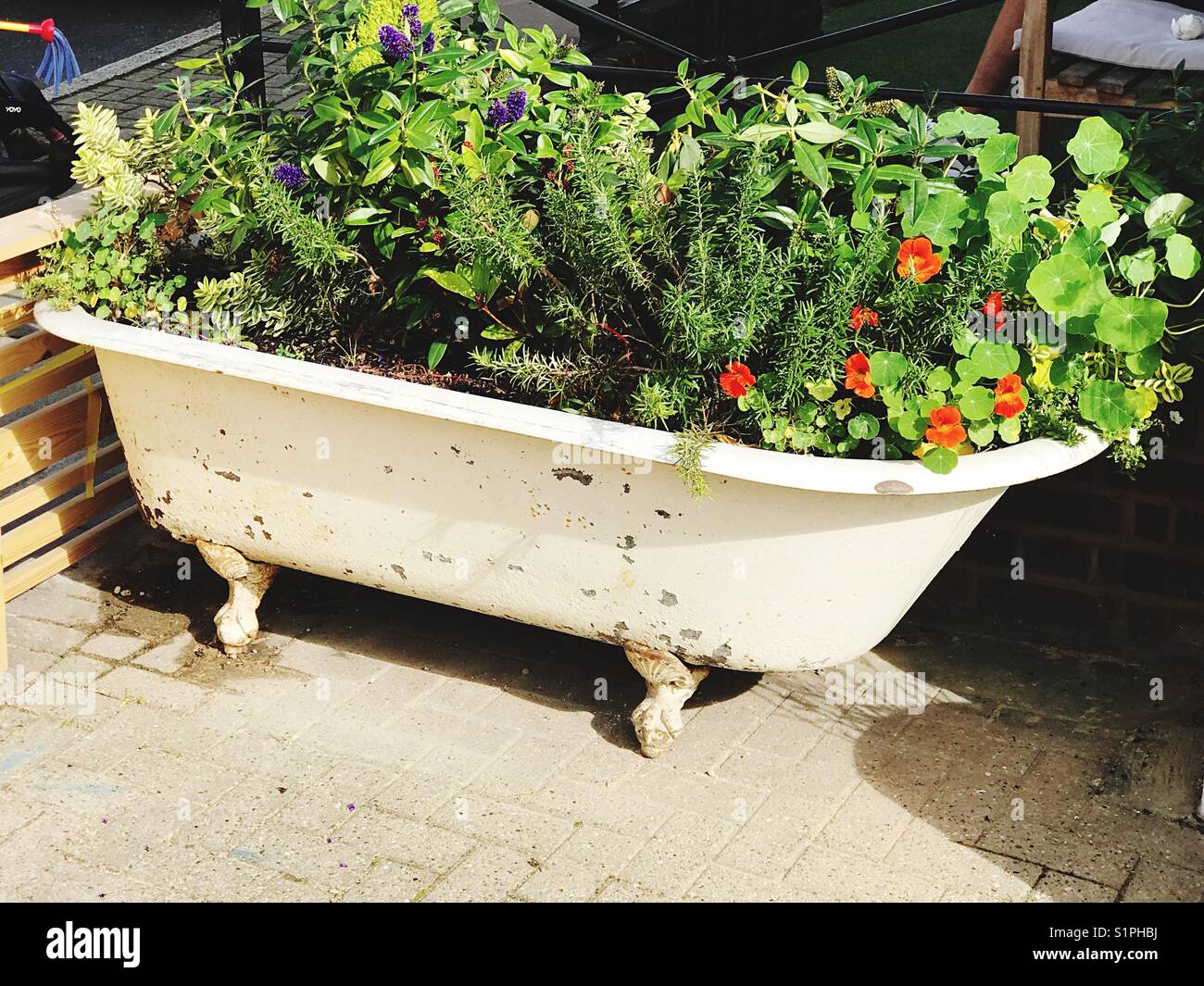 Flowers in tub hires stock photography and images Alamy