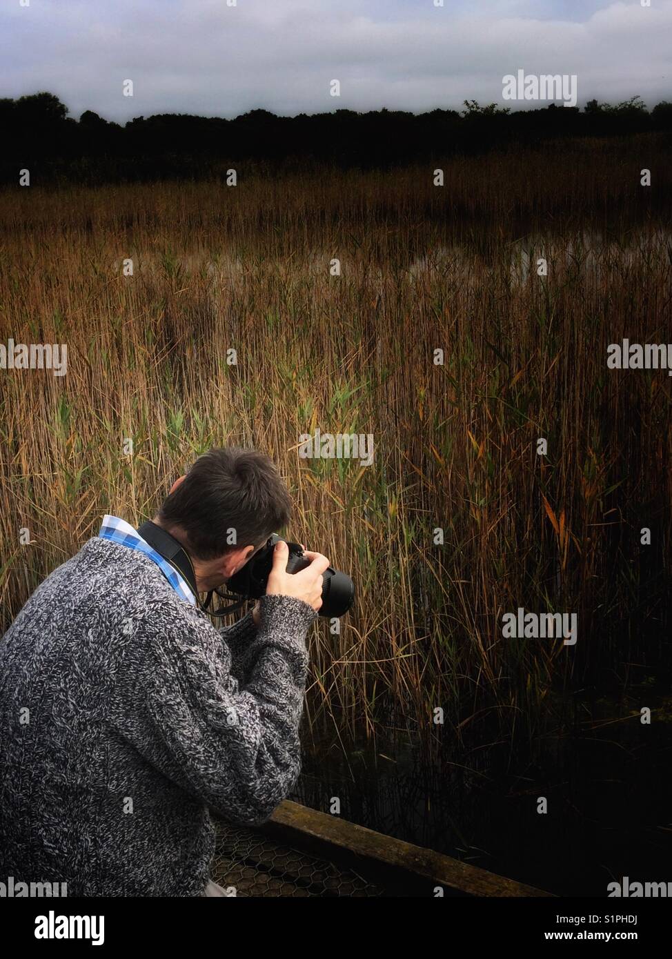 Man taking photographs at a wildlife park Stock Photo