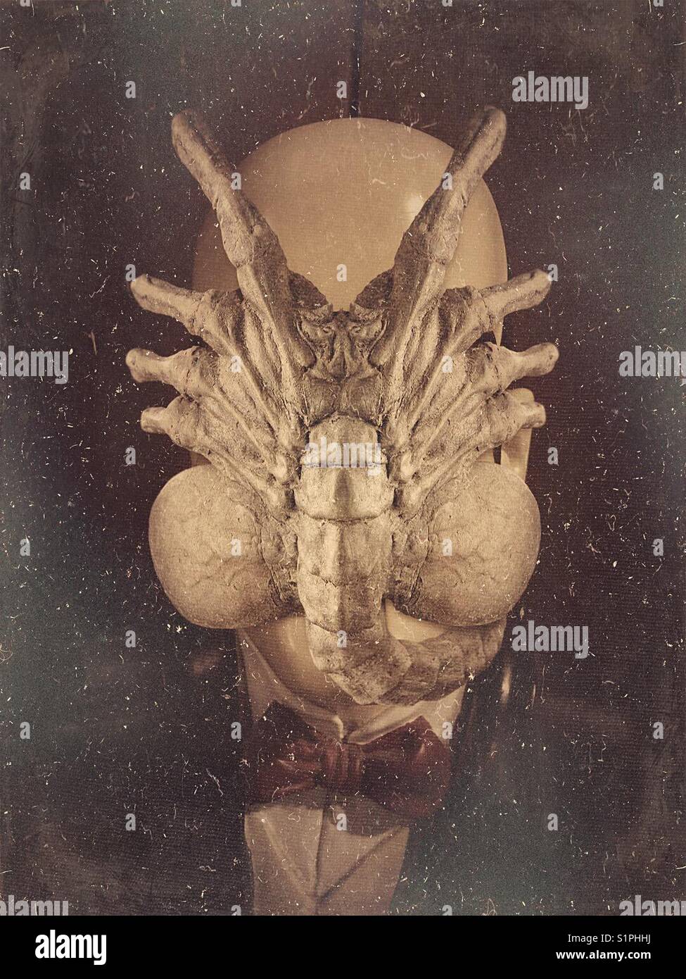 Alien parasite - Smartphone Captured Stock Image