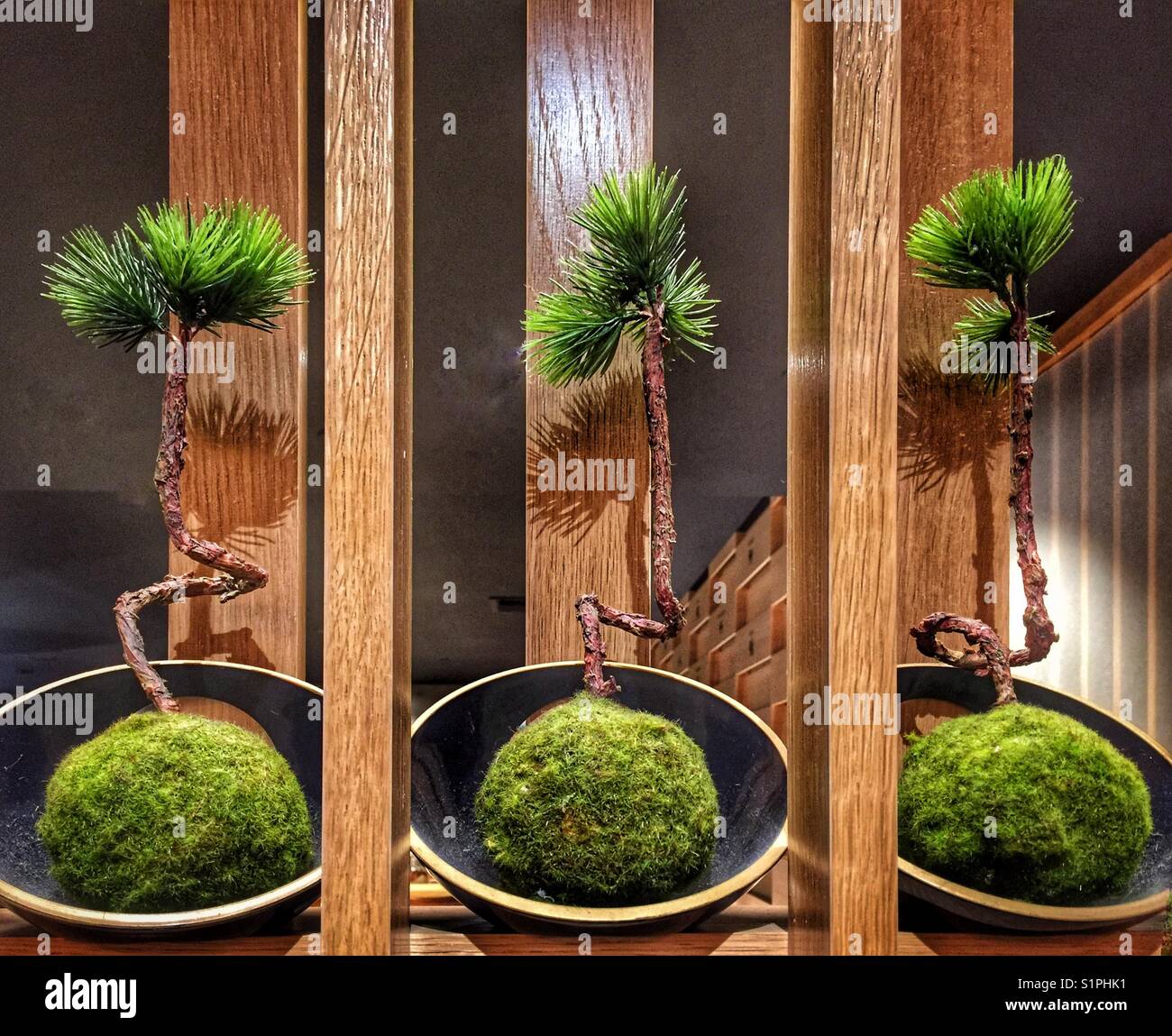 Kokedama moss ball hires stock photography and images Alamy