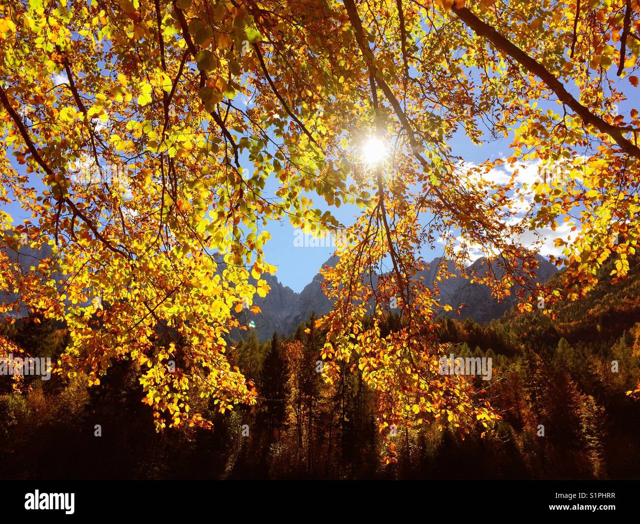 Warm sun rays hi-res stock photography and images - Alamy