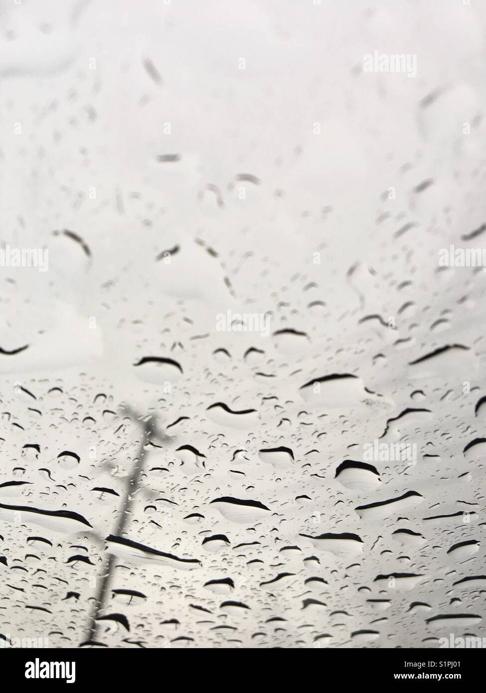 Rain Drops on Car Window Stock Photo Alamy