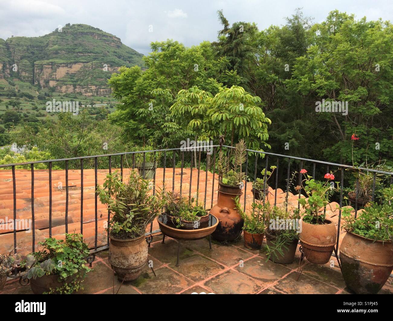 Plantas de mexico hi-res stock photography and images - Alamy