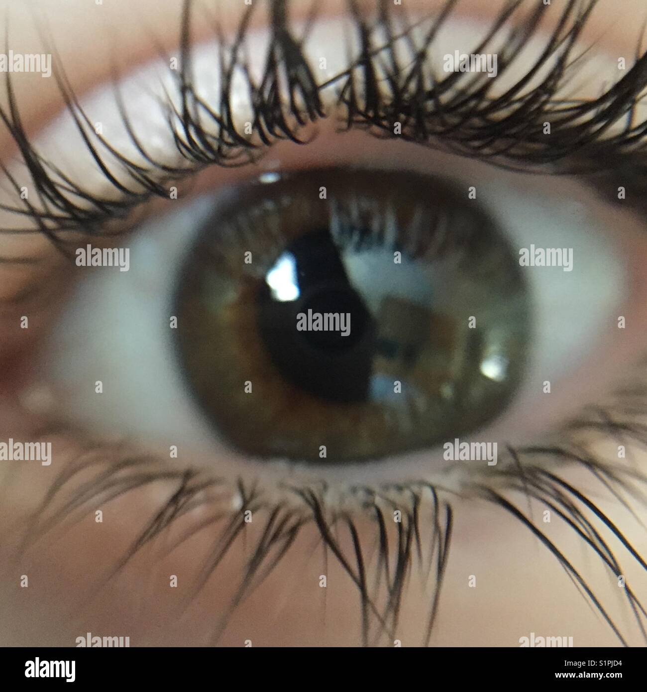 Eye close up - Smartphone Captured Stock Image