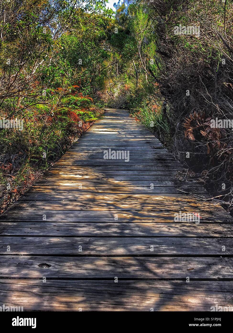 Wooden boardwalk along the popular White Sands walking trail Huskissson to Hyams Beach, NSW, Australia Stock Photo