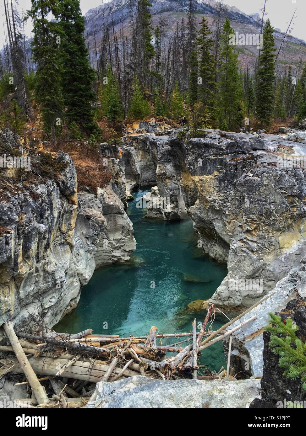 Marble Canyon, Kootenay River, British Columbia Stock Photo - Alamy