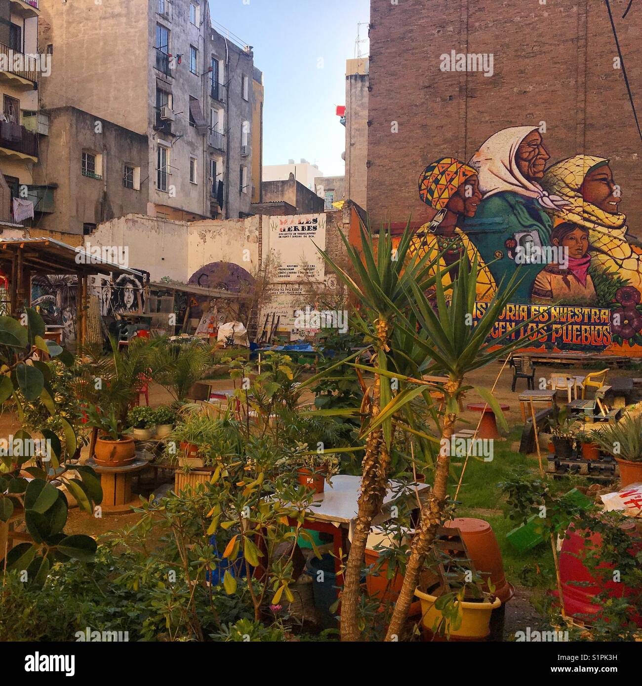 Pice of garden in the middle of traditional neighborhood Raval Stock Photo