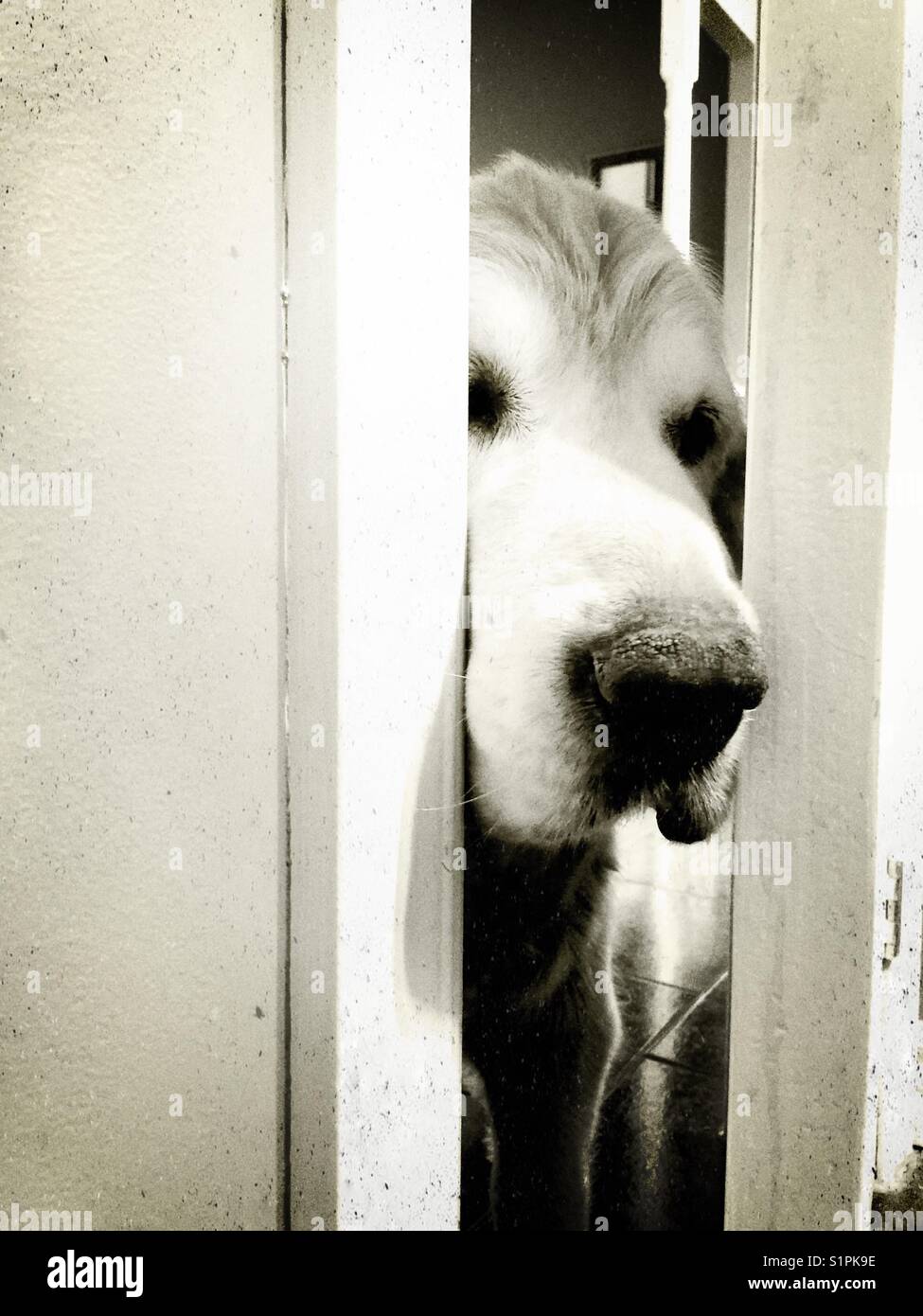 Funny bathroom door hires stock photography and images Alamy