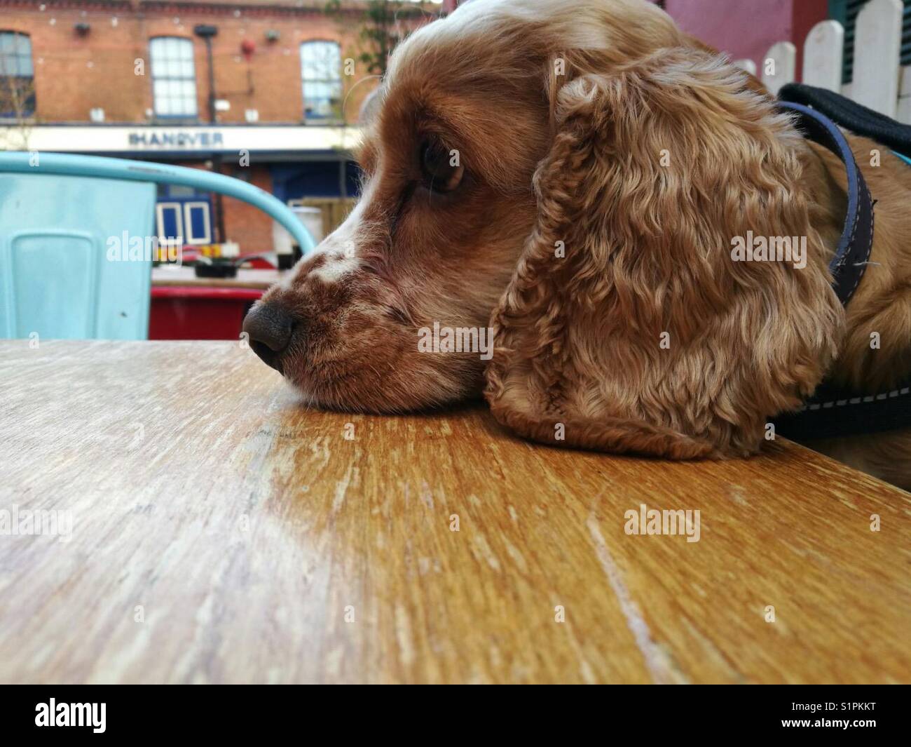 Waiting And Waiting Stock Photo Alamy waiting-and-waiting-stock-photo-alamy