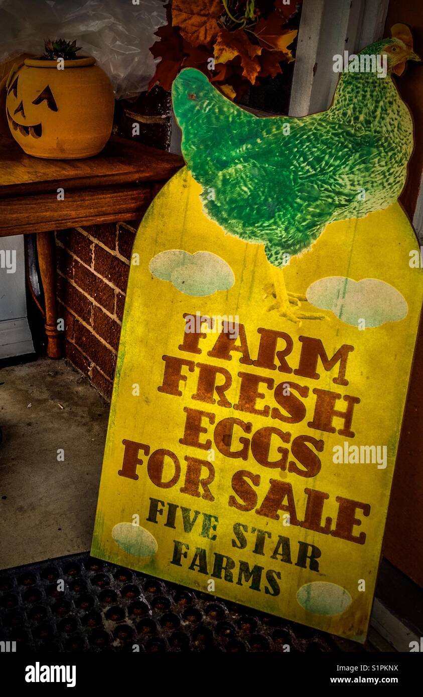 Egg sign for sale at local antique shop - Smartphone Captured Stock Image