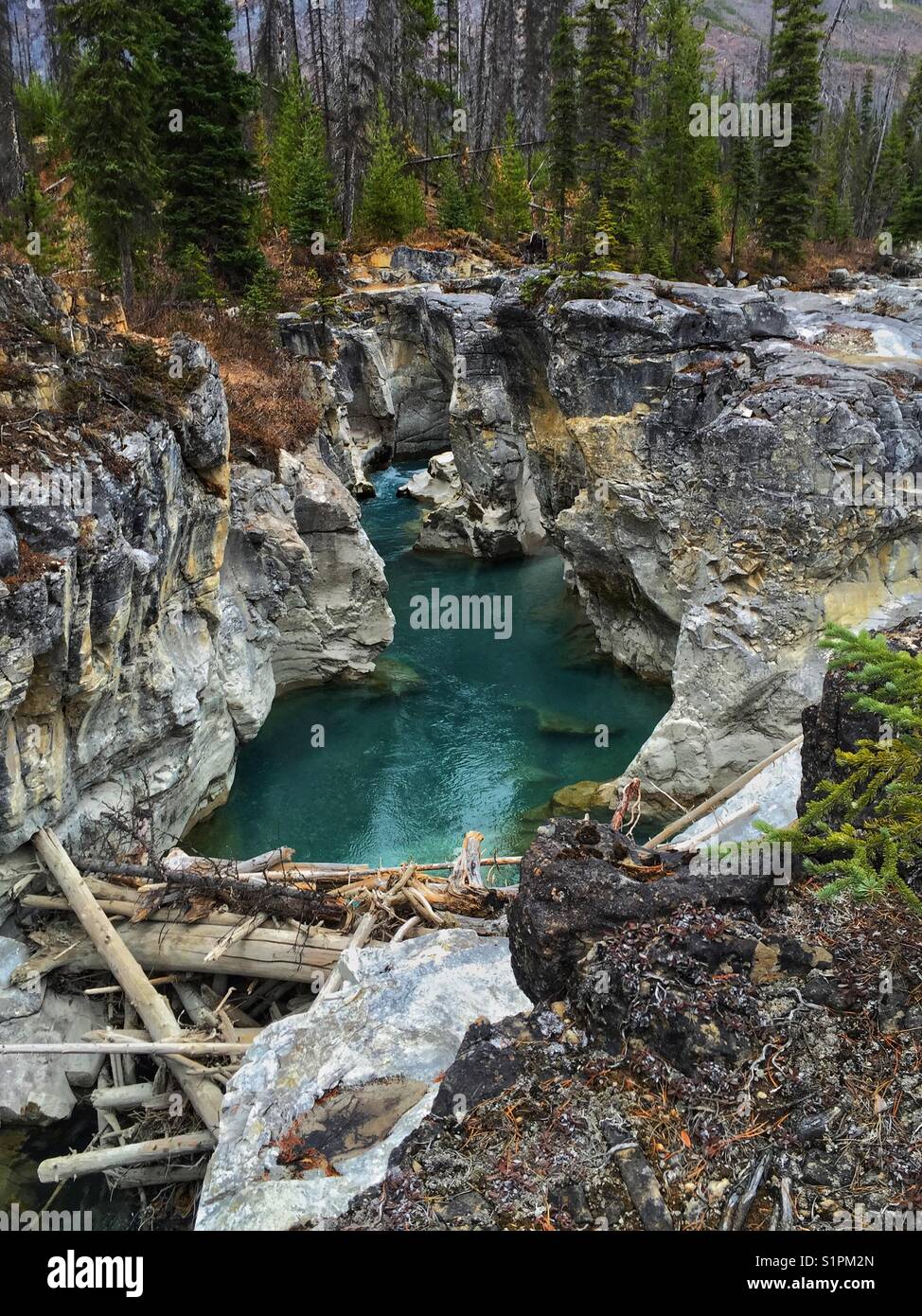 Marble Canyon, Yoho National Park - Smartphone Captured Stock Image