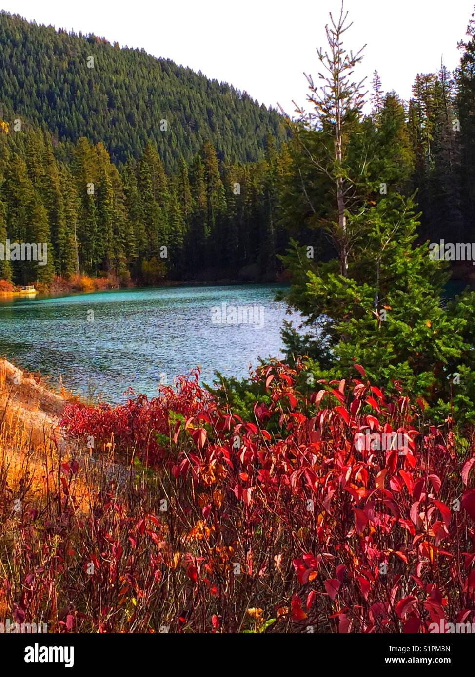 Olive Lake, Kootenay National Park, BC, Canada - Smartphone Captured Stock Image