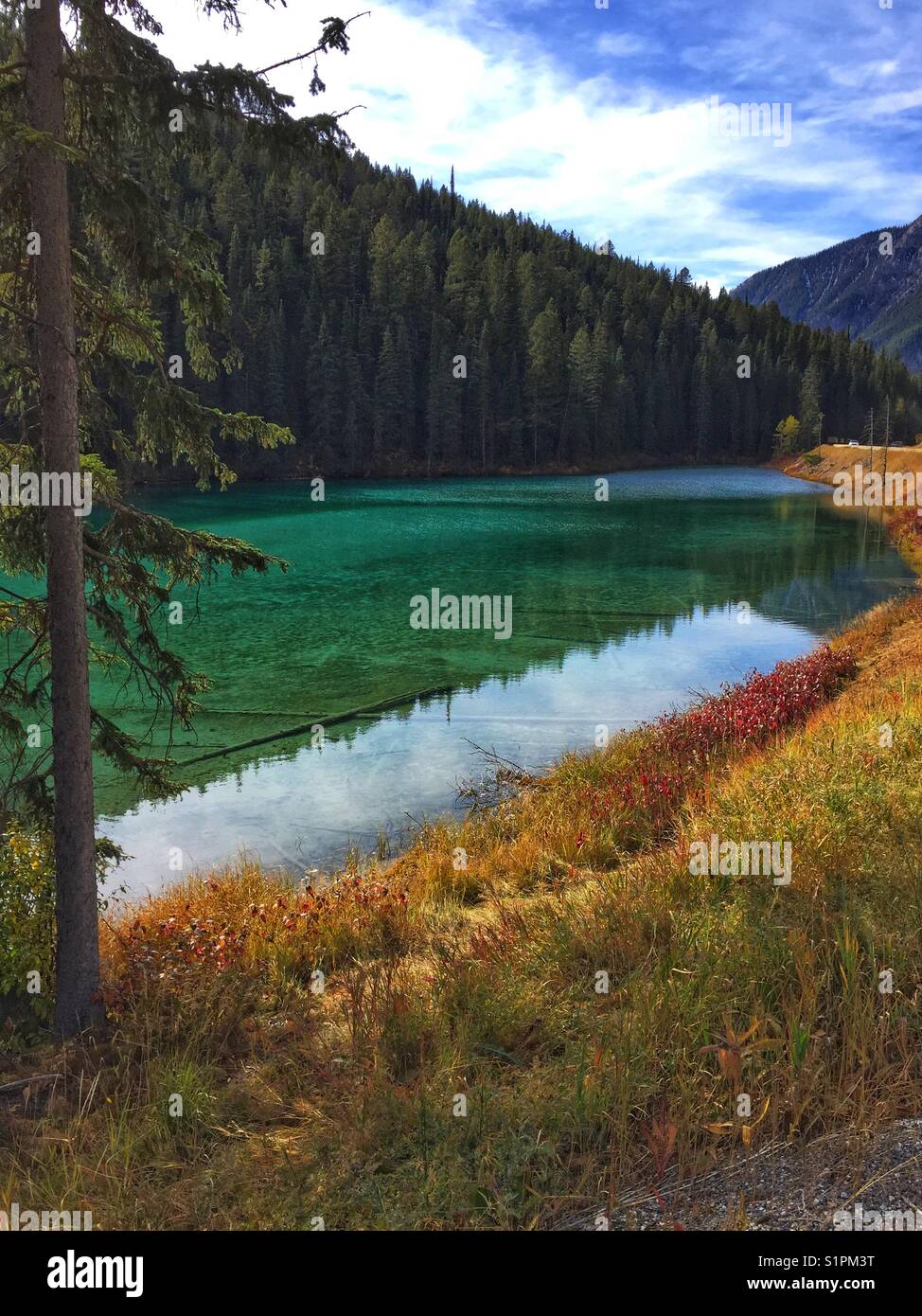 Olive Lake, Kootenay National Park, BC, Canada - Smartphone Captured Stock Image