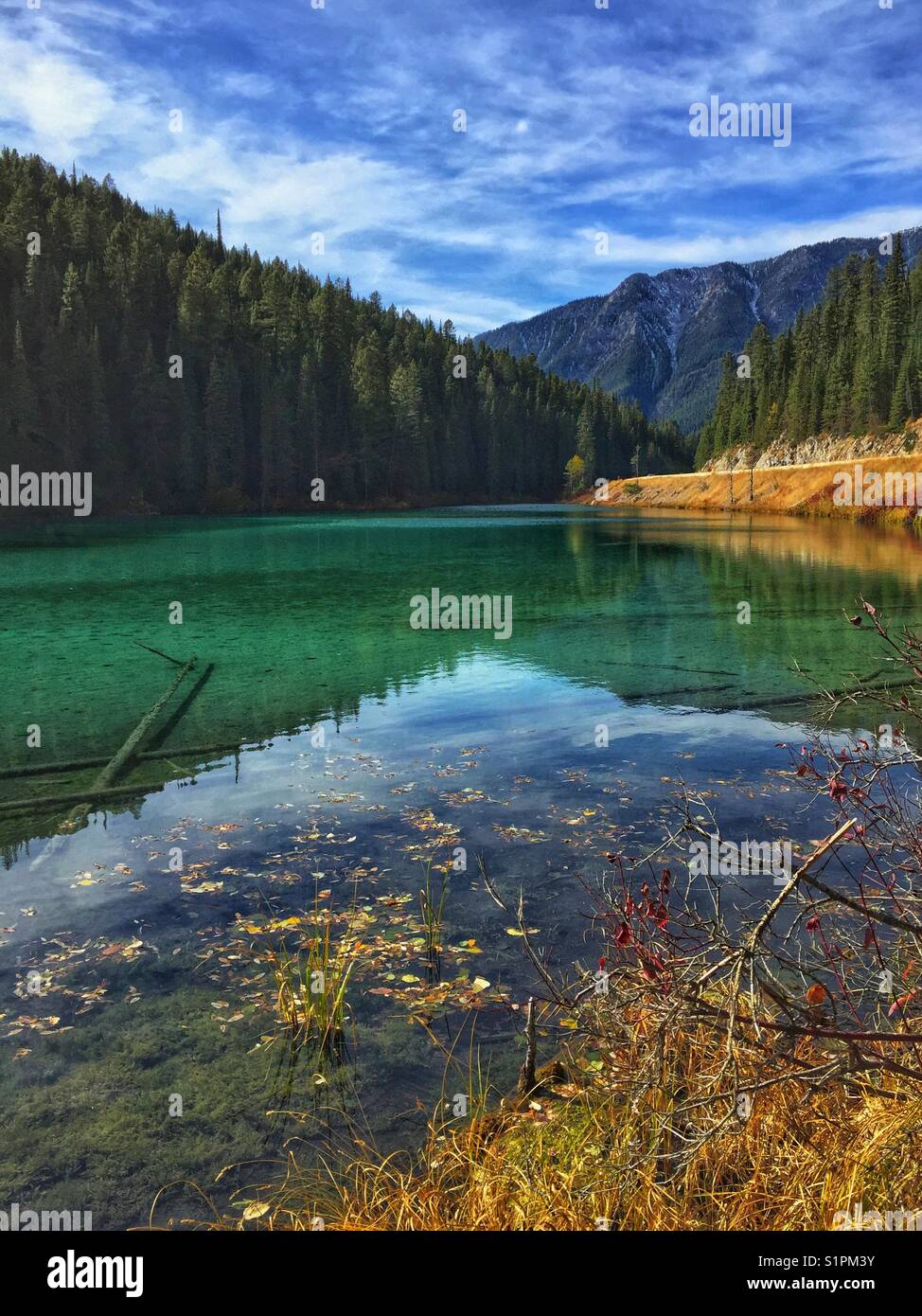 Olive Lake, Kootenay National Park, BC, Canada - Smartphone Captured Stock Image