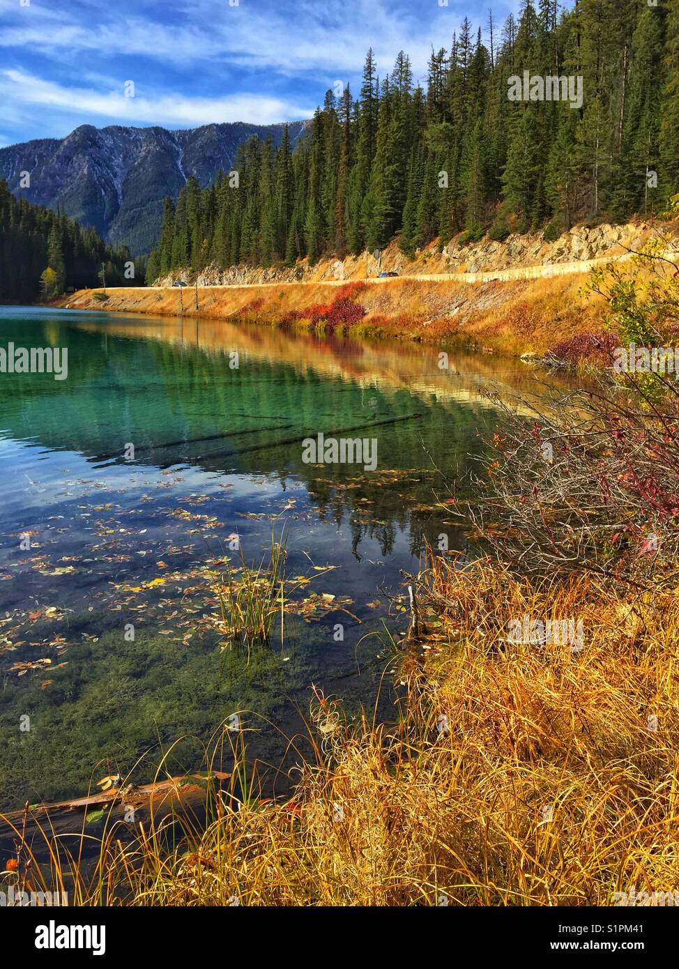 Olive Lake, Kootenay National Park, BC, Canada - Smartphone Captured Stock Image
