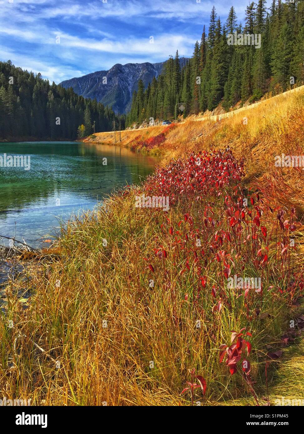 Olive Lake, Kootenay National Park, BC, Canada - Smartphone Captured Stock Image