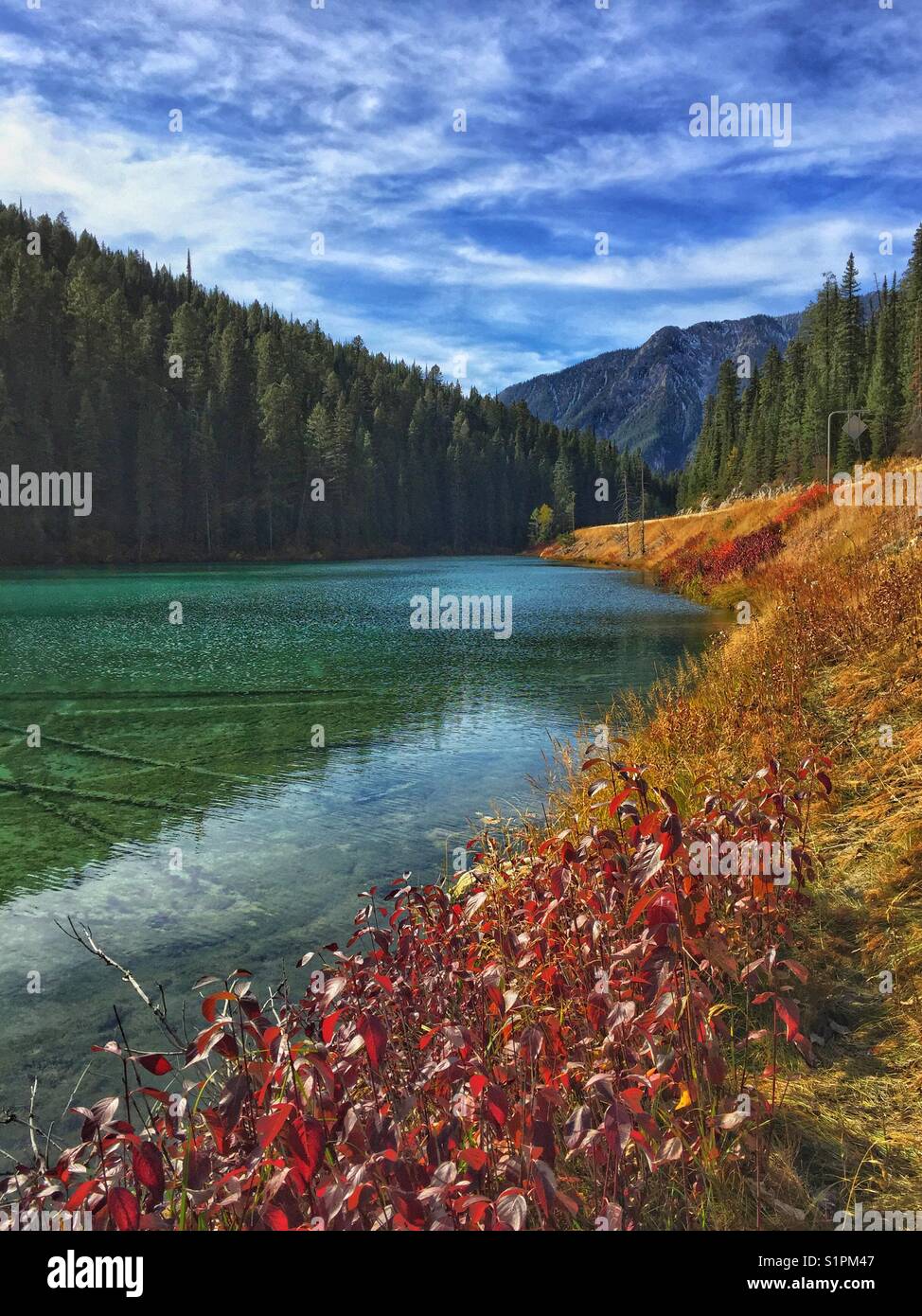 Olive Lake, Kootenay National Park, BC, Canada - Smartphone Captured Stock Image