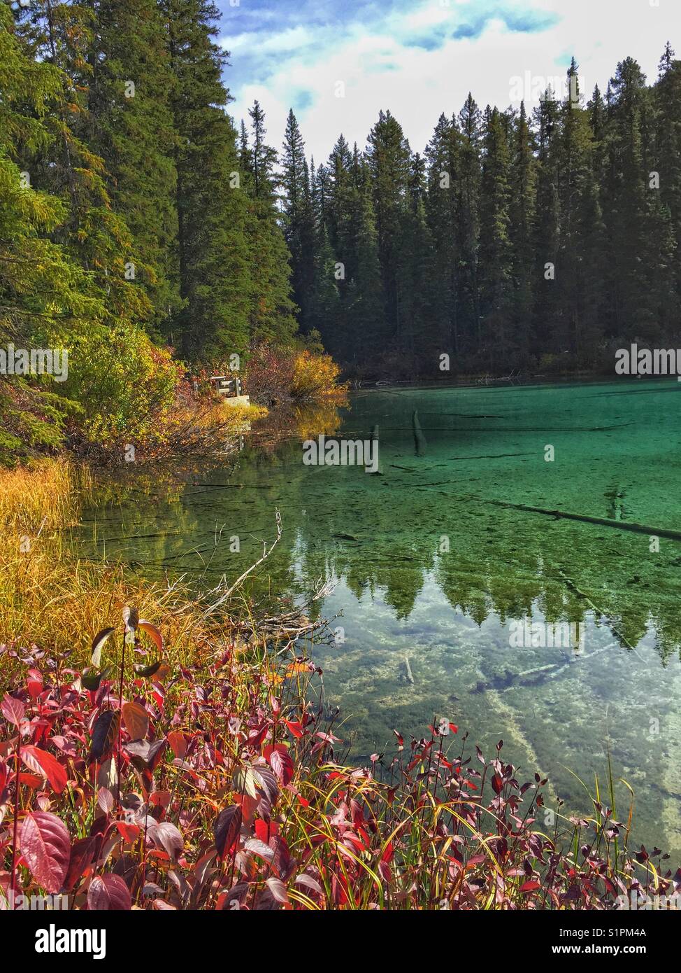 Olive Lake, Kootenay National Park, BC, Canada - Smartphone Captured Stock Image