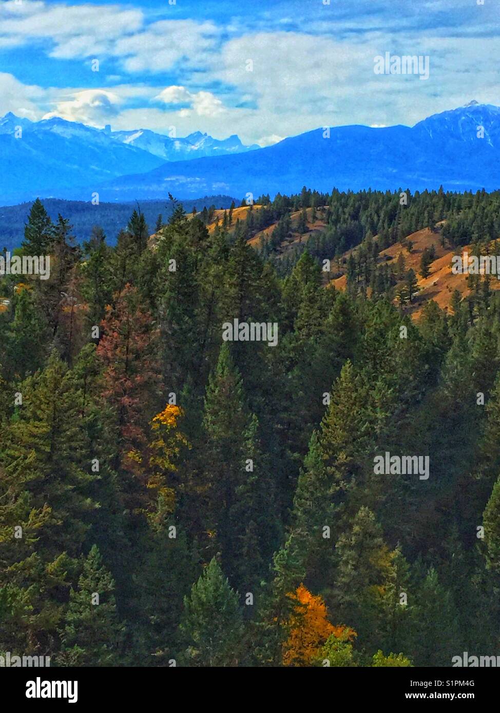 Kootenay National Park Mountains - Smartphone Captured Stock Image