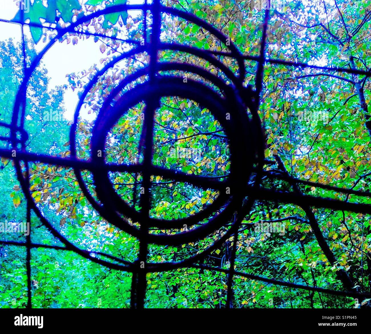 Autumn leaves through coiled wire - Smartphone Captured Stock Image