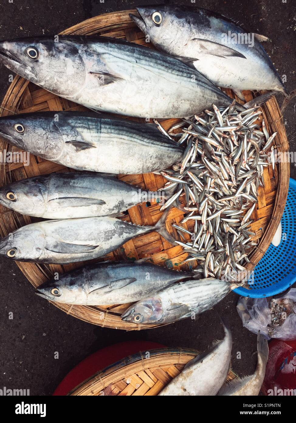 Street sea foods. - Smartphone Captured Stock Image