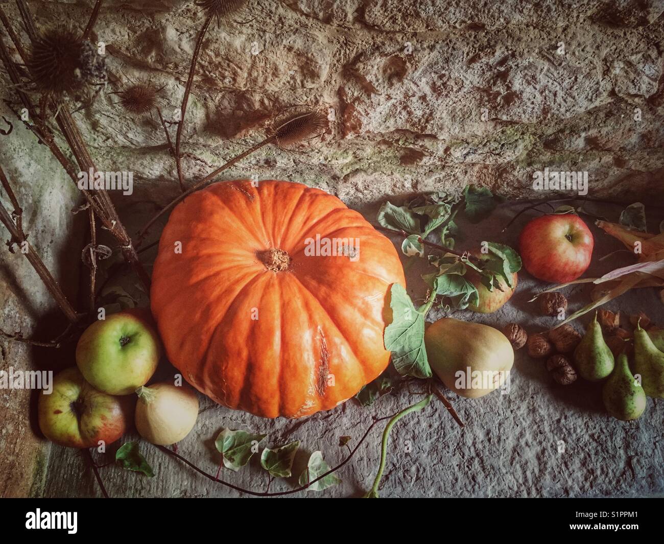 Harvest festival, display in the porch of a rural Church in Somerset, England Stock Photo