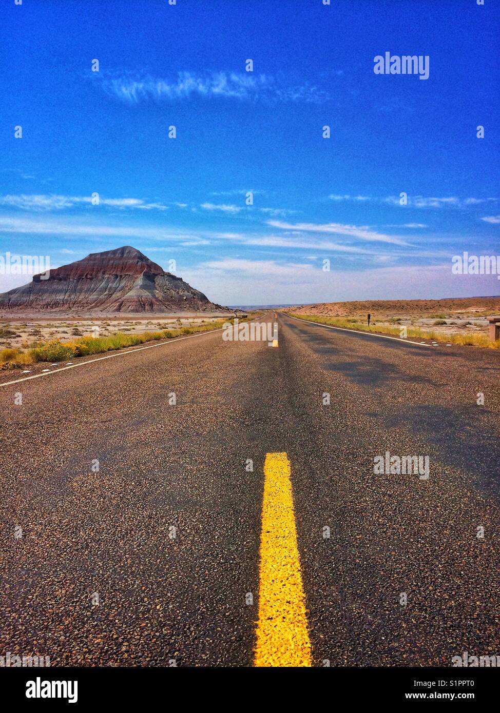 Straight road at National Park in USA - Smartphone Captured Stock Image