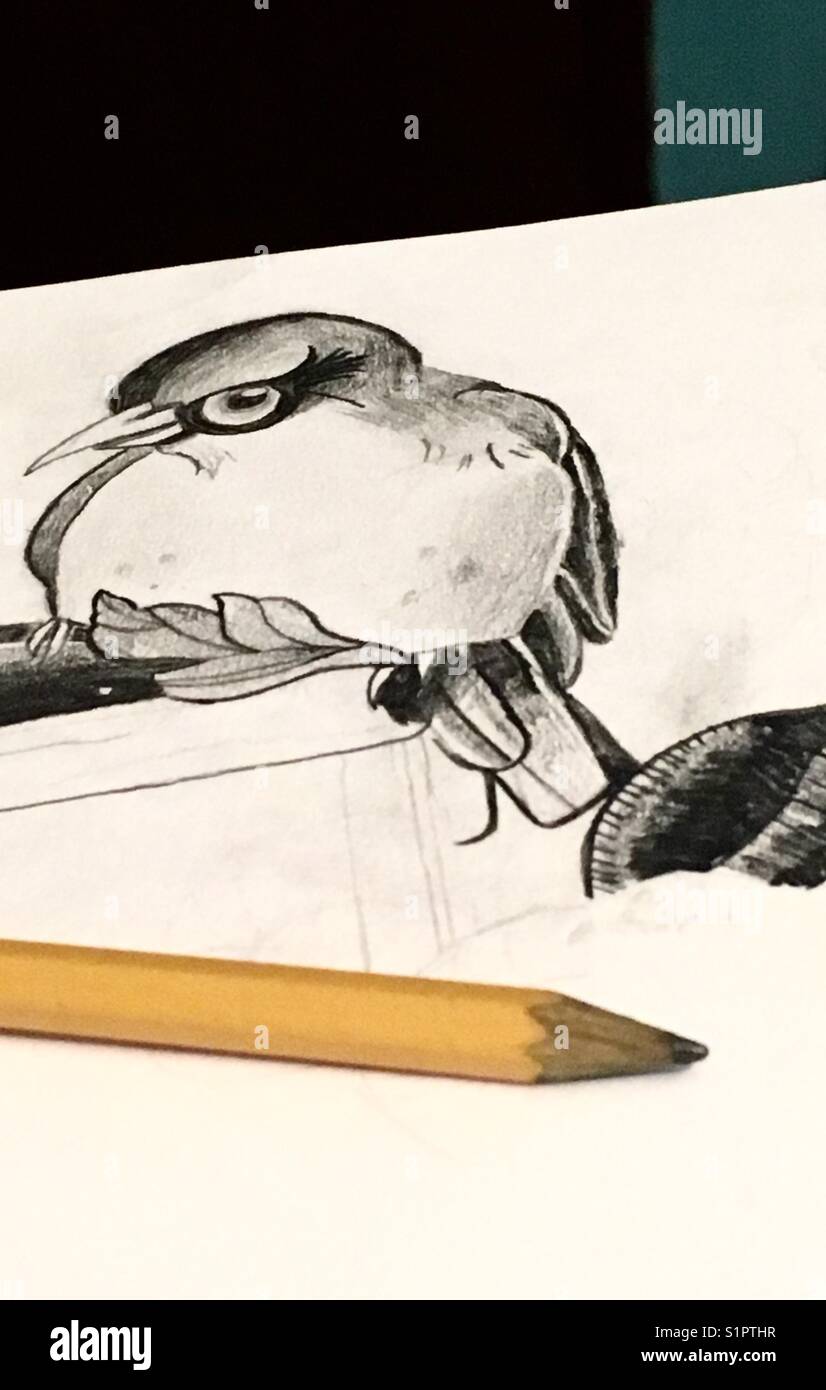 Bird Drawing Stock Photo