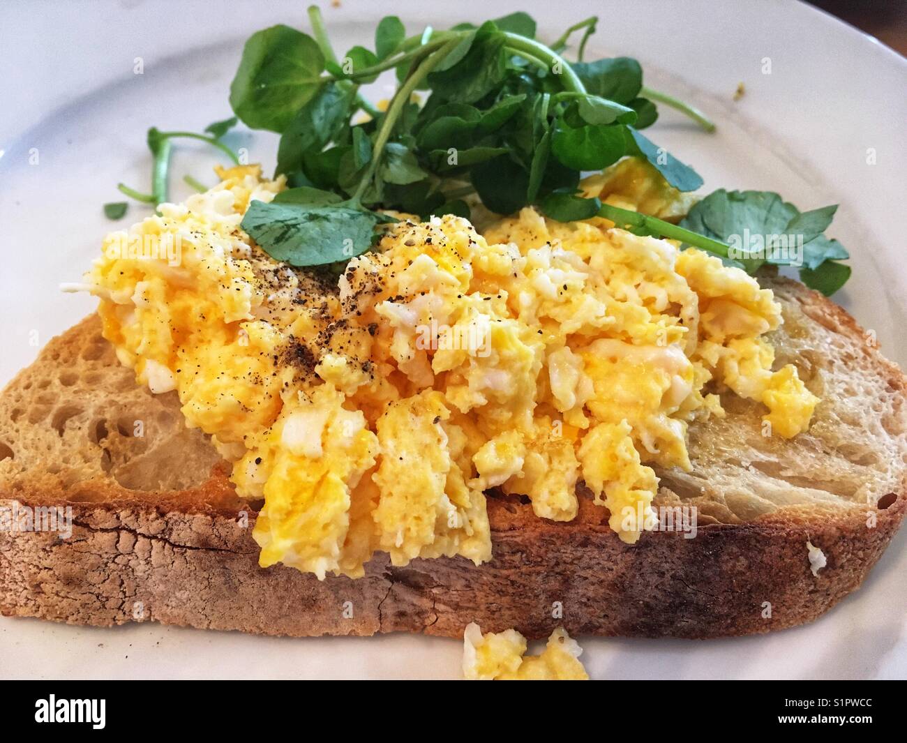 Scrambled eggs on toast - Smartphone Captured Stock Image