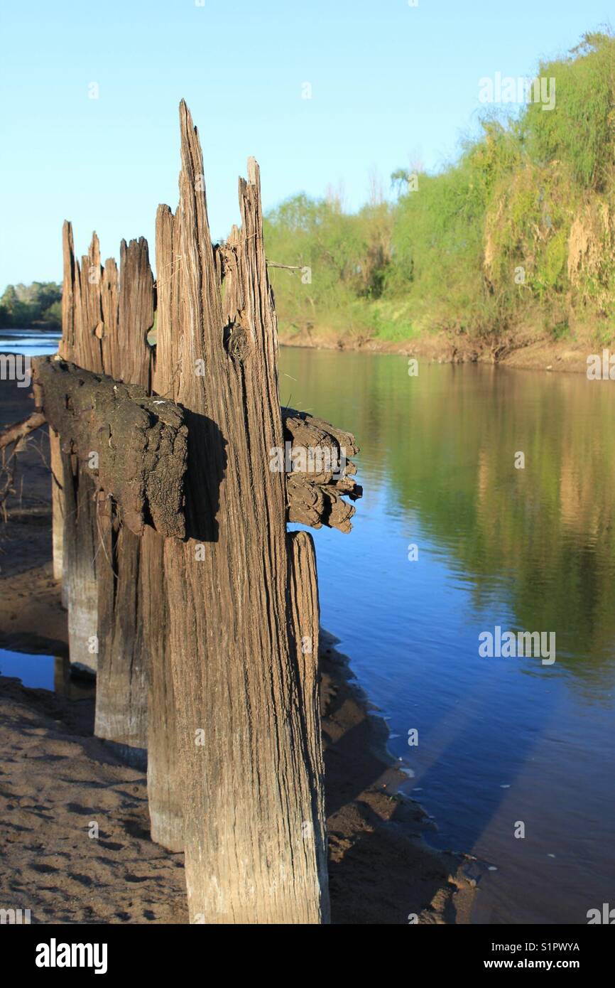 Old timber posts from bridge over river - Smartphone Captured Stock Image