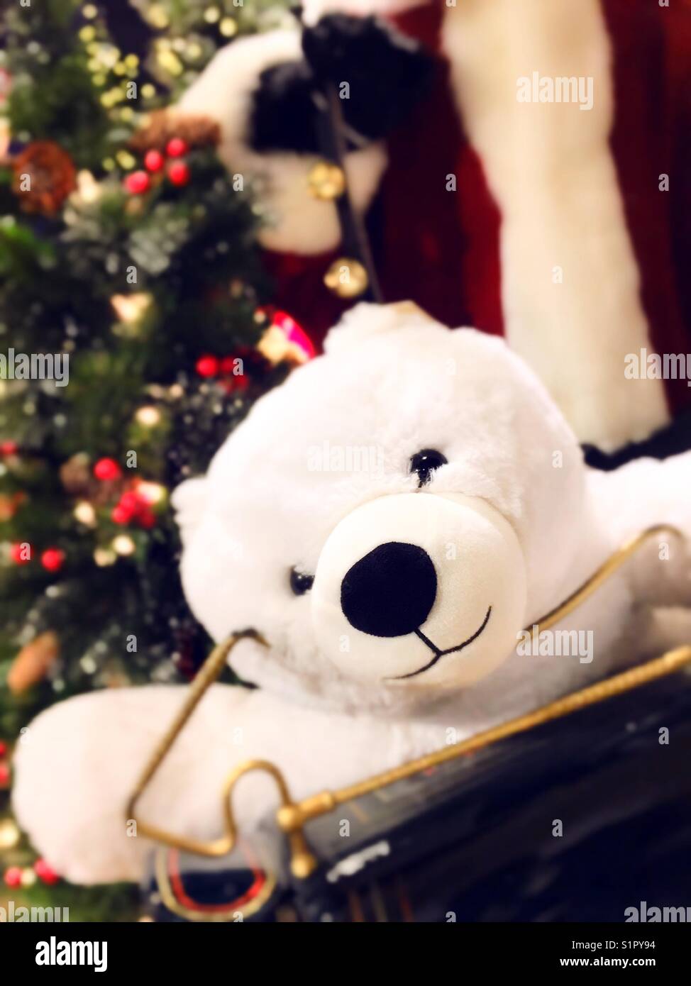 Holiday Lane display, fluffy stuffed bear, Macy’s department store, NYC, USA - Smartphone Captured Stock Image