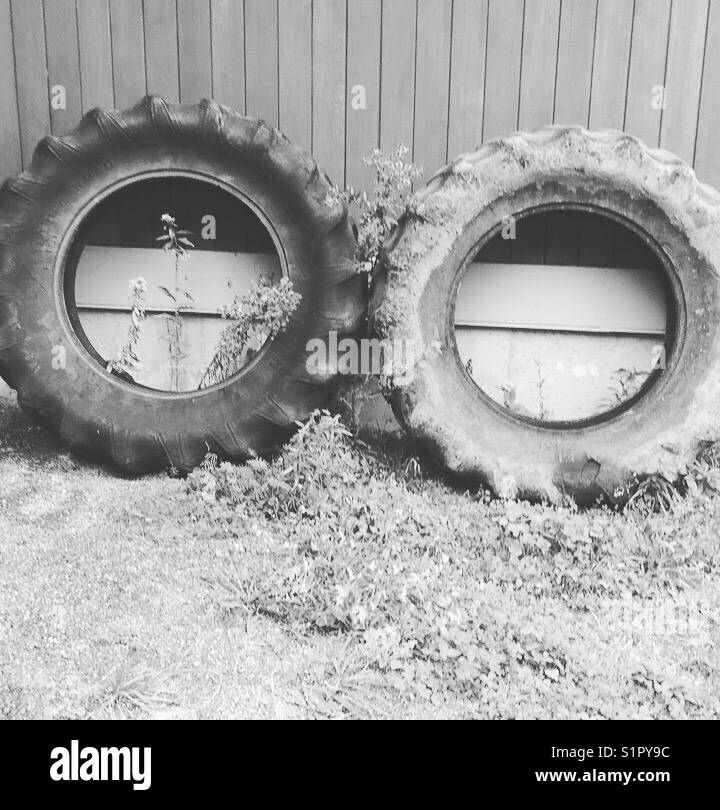 Two tractor tires bracing on a barn wall by K.R. Stock Photo