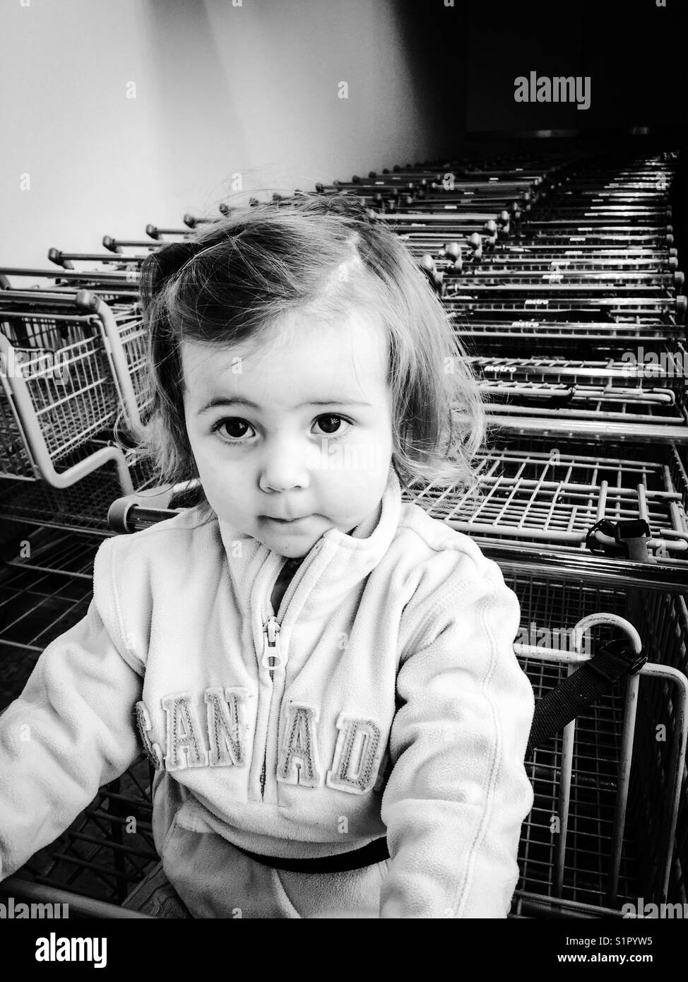 Toddler girl in grocery cart with rows of carts behind her Stock Photo