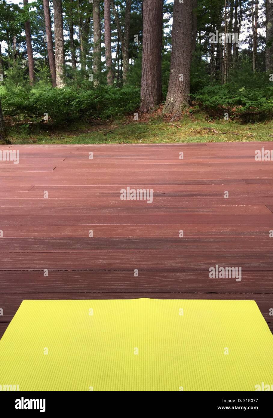 Yoga in the woods - Smartphone Captured Stock Image