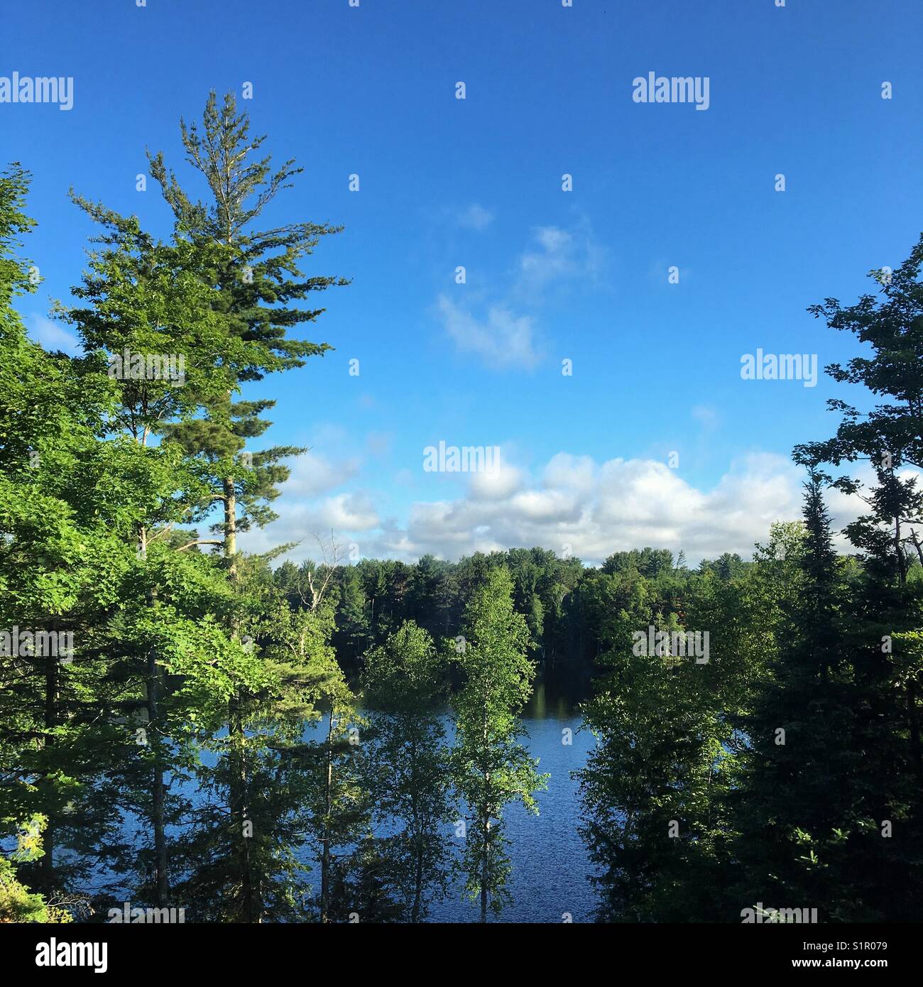 Spider Lake, Mercer, Wisconsin - Smartphone Captured Stock Image