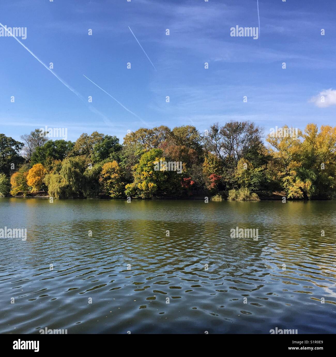 Beautiful clear lake with trees hi-res stock photography and images - Alamy