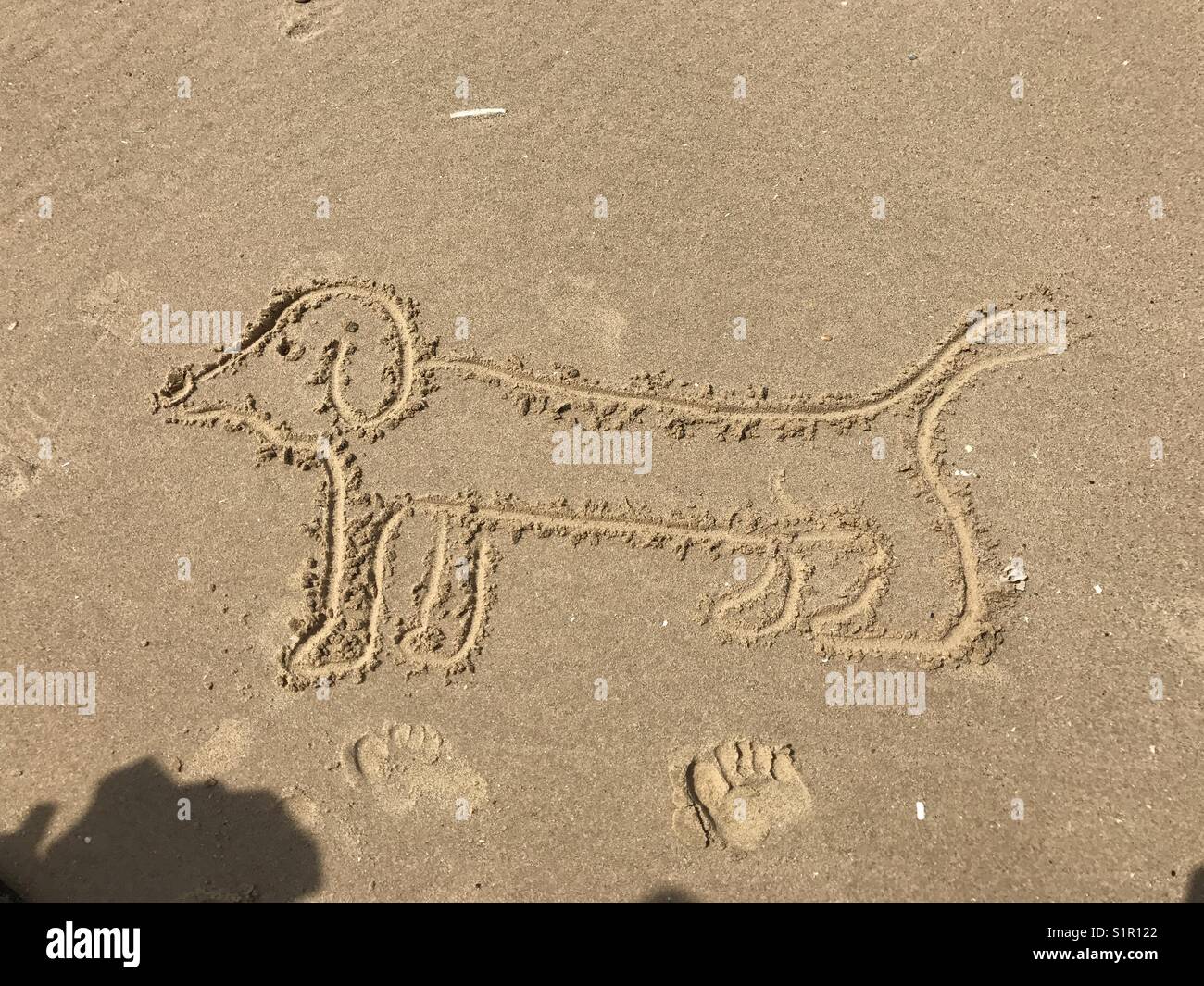 A drawing of a sausage dog in sand on a sunny day at the beach, UK Stock Photo