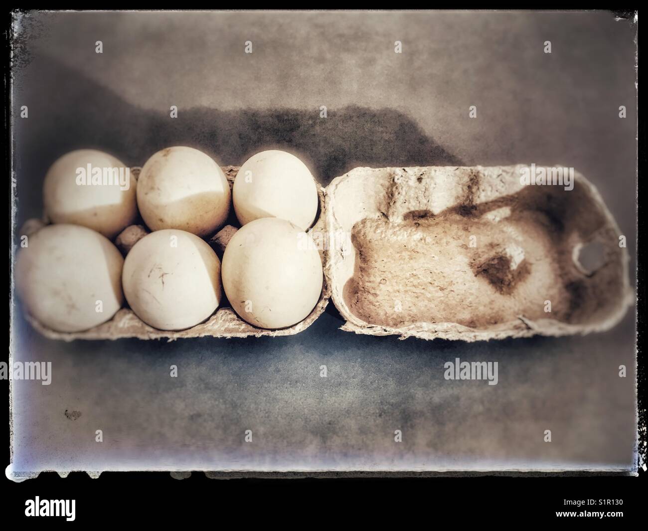 Ducks eggs - Smartphone Captured Stock Image